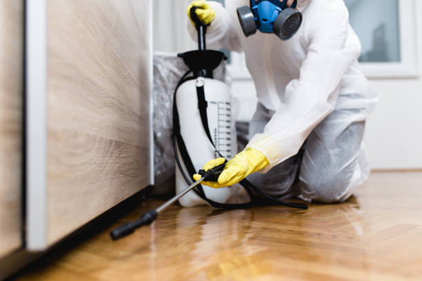  River Rouge, MI Pest Control Pros