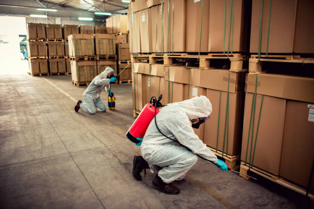 Best Best Pest Control Near Me  in River Rouge, MI