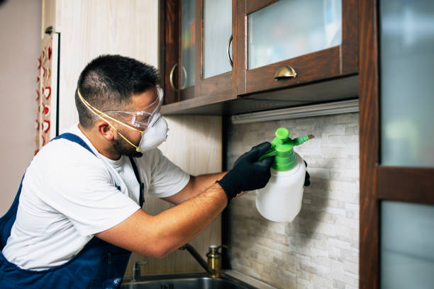 Best Wildlife Control Services  in River Rouge, MI