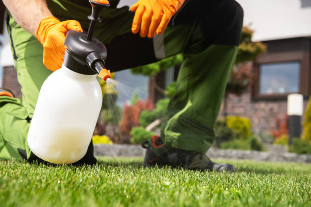 Best Commercial Pest Control Services  in River Rouge, MI