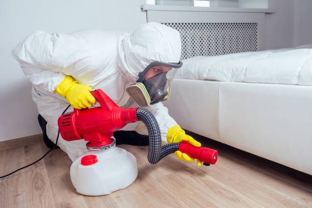 Trusted River Rouge, MI Pest Control Experts