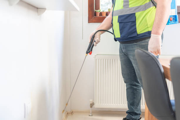 Best Flea Control Services  in River Rouge, MI