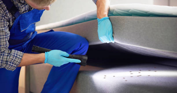 Best Residential Pest Control  in River Rouge, MI