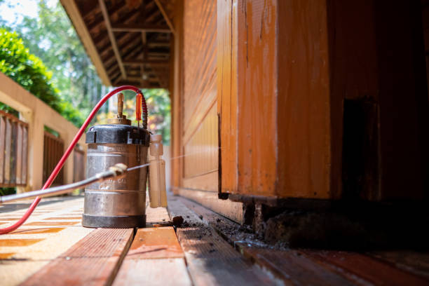 Pest Control for Restaurants in River Rouge, MI