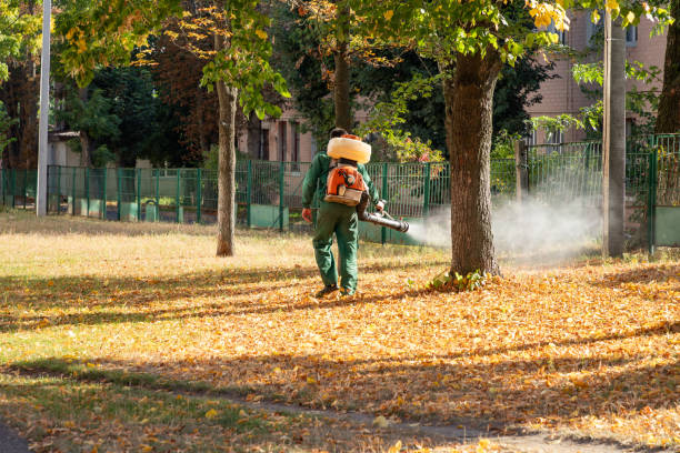 Best Ant Control Services  in River Rouge, MI