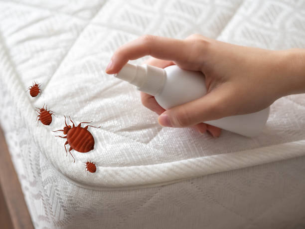 Best Cockroach Control Services  in River Rouge, MI