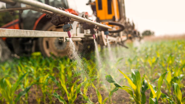 Best Insect Control  in River Rouge, MI